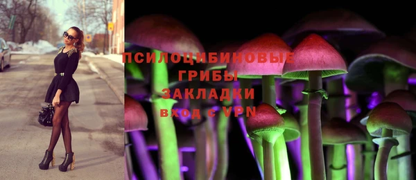 ALPHA PVP Рославль