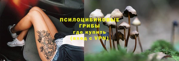 мяу мяу мука Сафоново