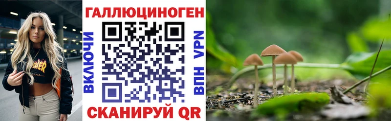 Галлюциногенные грибы Cubensis  Купить где  Комсомольск 
